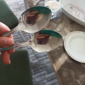 Siemens Bulaşık Makinesi Sorunu