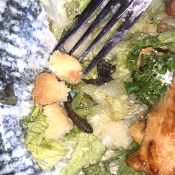 Tavuk Dünyası'nda Hijyen Sorunu: Tırtıllı Salata Şoku