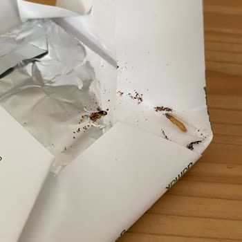 Nestle Damak Gece Paketinden Kurt Çıktı