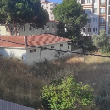 Diyanet İşleri Başkanlığı Maltepe Bağlarbaşı Camii, Bakımsız!