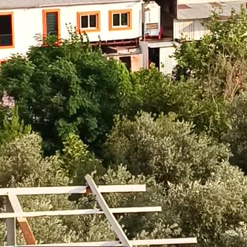 İskenderun Belediyesi Bekbele Mahallesi'nde Dere İçindeki Fabrika!