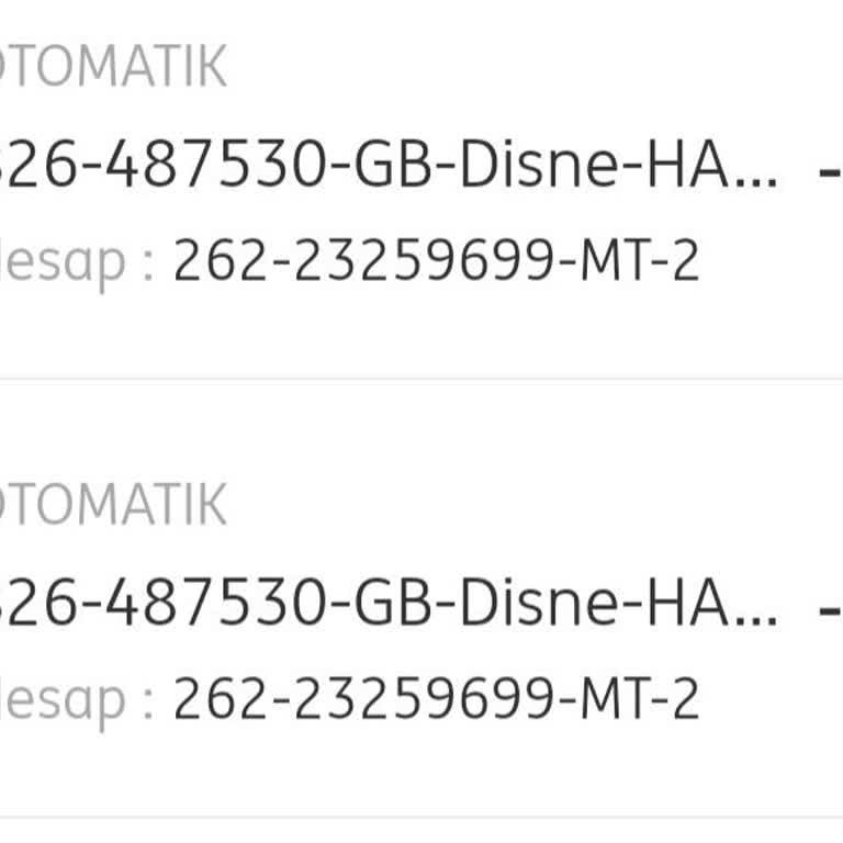 Disney+ Banka Hesap Güvensizliği