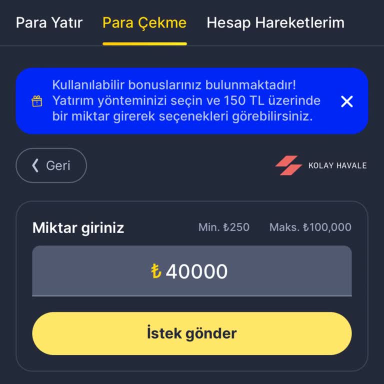 Bettilt Acil Dönüş Yapın