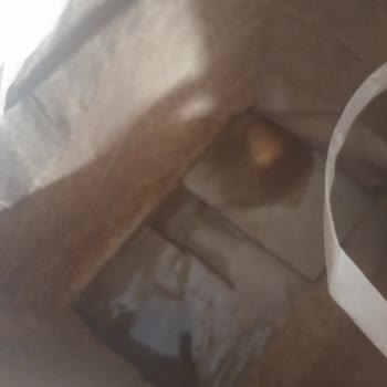 Yemek Sepeti Siparişim Çok Kötü Halde Geldi