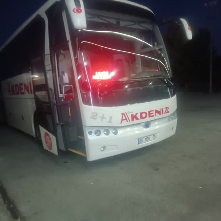 Güney Akdeniz Seyahat Şoför Araçta Sigara İçiyor