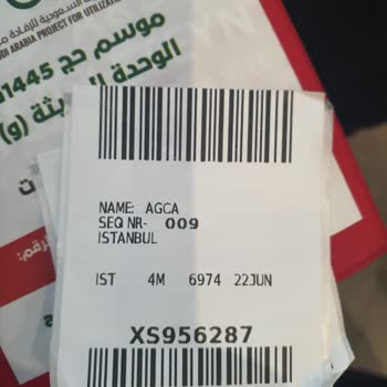 Mavi Gök Havayolları Bavulların Teslimi Konusu