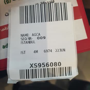 Mavi Gök Havayolları Bavulların Teslimi Konusu