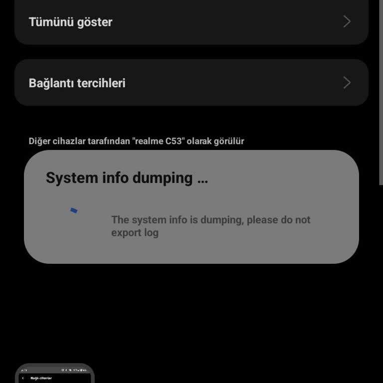 Realme C53 Her Şeyi Sorun