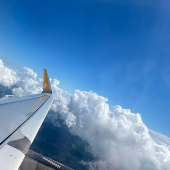 Pegasus Hava Yolu Şirketi Pişmanlıktır...