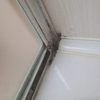 Moldrox Hiçbir İşe Yaramayan Ürün