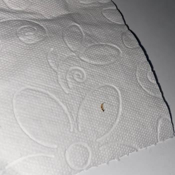 İndomie Noodlenin İçinden Tırnak Tarzı Bir Şey Çıktı