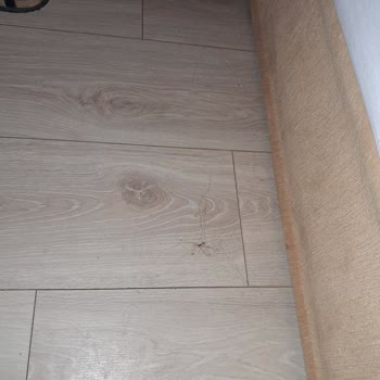 MC Beach Resort Hotel Tatilbudur Ve Mc Beach Park Resort Bizi Mağdur Etti.