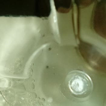 S'he Vec. Glikolik Asit Tonik Küflendi Hem De 2 Ay Olmadan