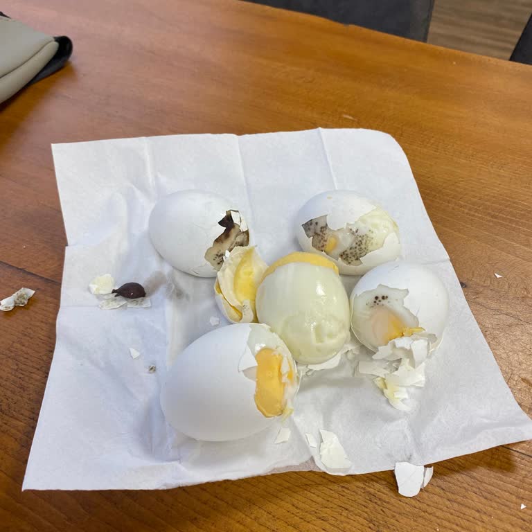 Jolly Tur Kahvaltıda Verilen Bozuk Yumurtalar