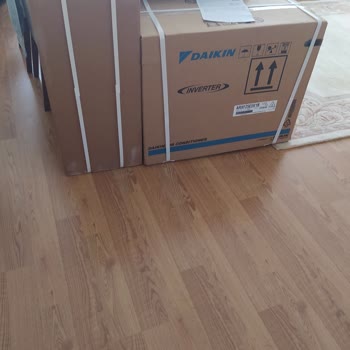 Daikin Baş Belası Duyarsızlık