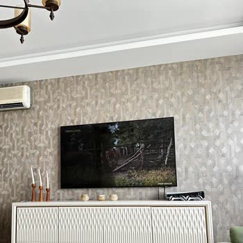 Samsung AU9000 65 TV Ekran Kararması