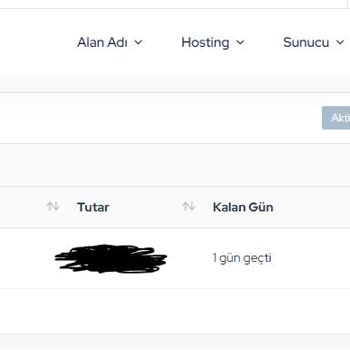 HostingAilesi Hizmet Sonrası İlgisizlik Ve İletişim Sorunları