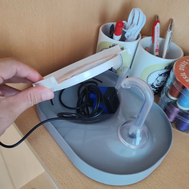 Ata Home Kedi Pınarı (bozuk)