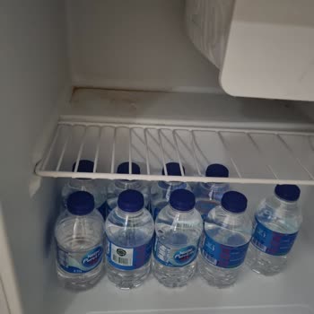 Antalya Alanya'da Hayal Kırıklığı: Lonicera World Otel Deneyimi!