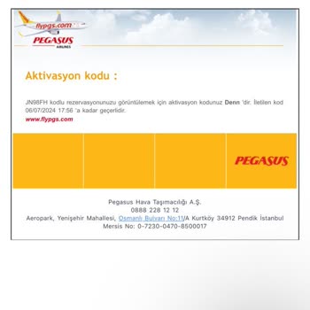 20 Saat Rötar Yapan Pegasus Şirketleri