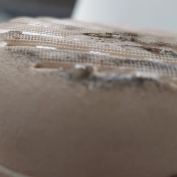 Ceyo Firmasının Ürün Kalitesi Ve Müşteri Hizmetleri Hayal Kırıklığı Yarattı