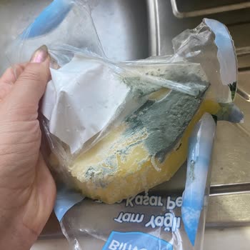 Arçelik Altus Marka Buzdolabı Yiyecekleri Küflendiriyor