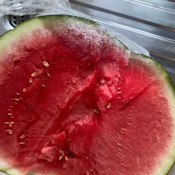 Arçelik Altus Marka Buzdolabı Yiyecekleri Küflendiriyor