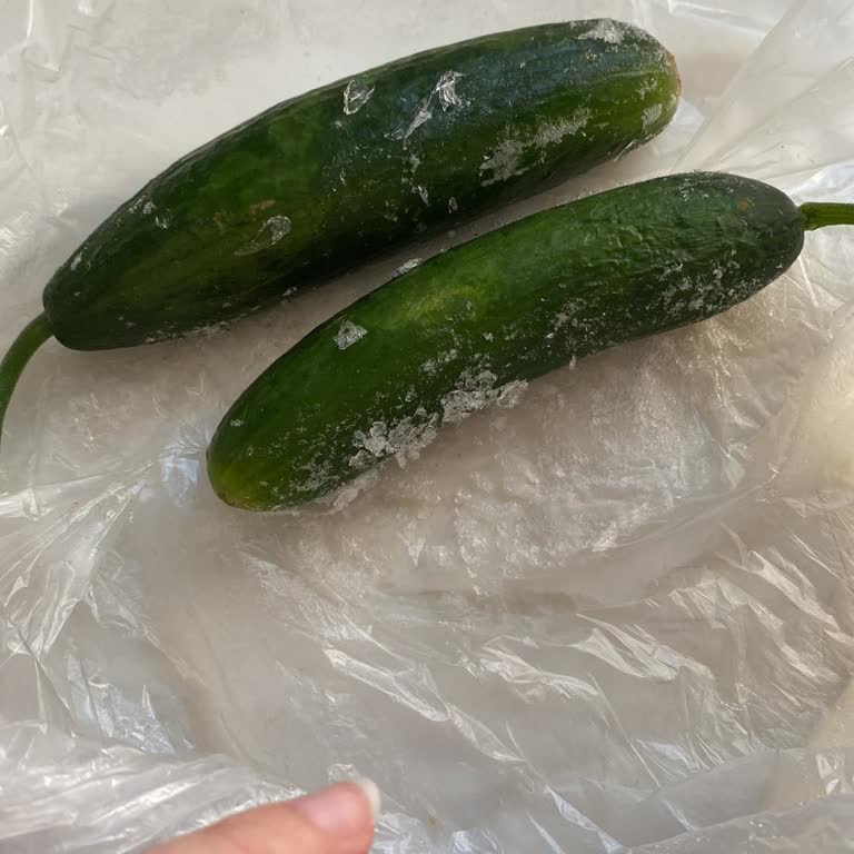 Arçelik Altus Marka Buzdolabı Yiyecekleri Küflendiriyor