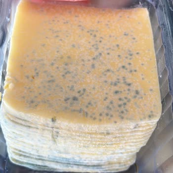 Eker Dilimli Kaşar Şikayeti