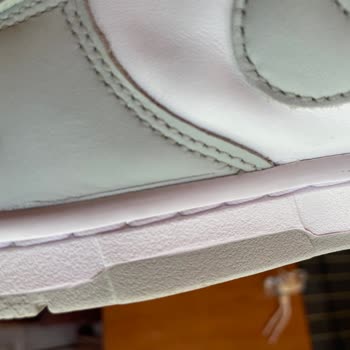 Nike Dunk Deri Sorunu