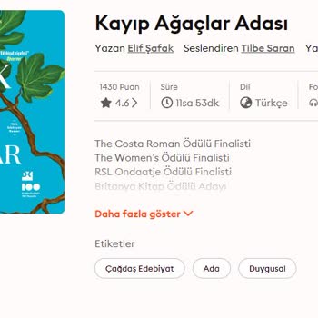 Storytel Aboneliğimi Aldım Ancak Kullanamıyorum