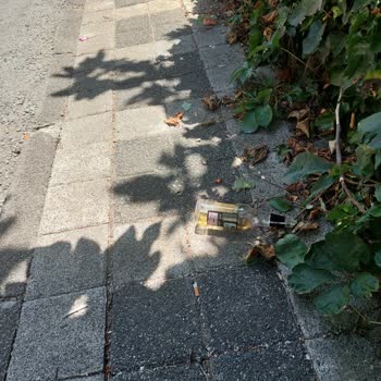 Ümraniye Belediyesi Çöpleri Toplamamak Konusunda Israrcı!