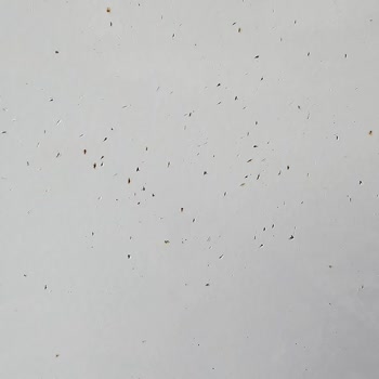 Vestel Çöp Malı Kendi Malının Arkasında Durmuyor