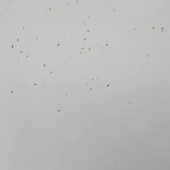 Vestel Çöp Malı Kendi Malının Arkasında Durmuyor