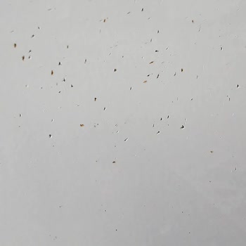 Vestel Çöp Malı Kendi Malının Arkasında Durmuyor