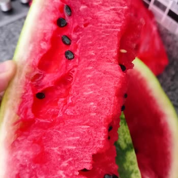Şok Marketler Şok Marketten Kendi Paramızla Rezil Olduk
