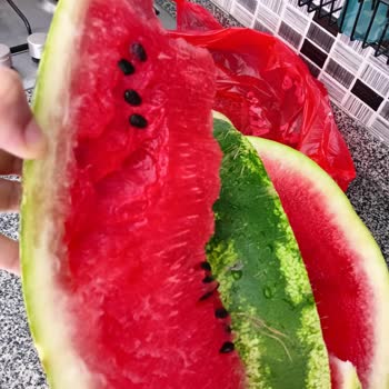 Şok Marketler Şok Marketten Kendi Paramızla Rezil Olduk