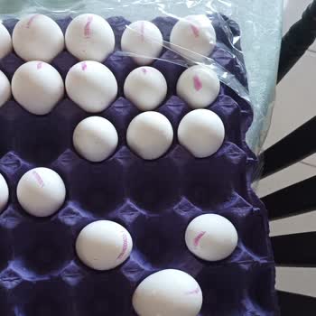 Kumartaşlı Gıda Yumurta Boyutları Kolinin Üzerinde Yazdığı Gibi Değil