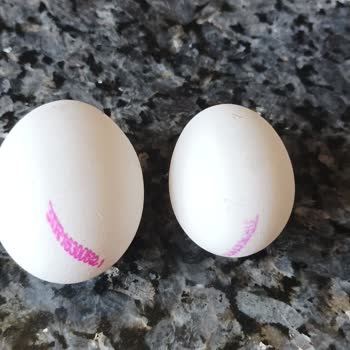 Kumartaşlı Gıda Yumurta Boyutları Kolinin Üzerinde Yazdığı Gibi Değil