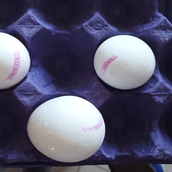 Kumartaşlı Gıda Yumurta Boyutları Kolinin Üzerinde Yazdığı Gibi Değil