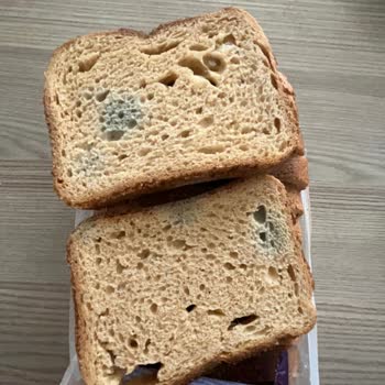 A101 Market Küflü Ekmek