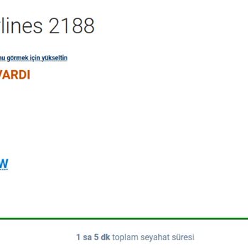 Pegasus Uçuşta Yaşanan Gecikme Ve Hizmet Eksikliği