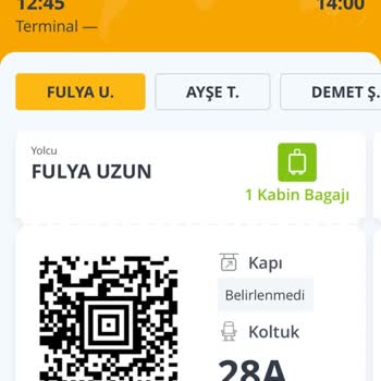 Pegasus Hava Yolları Saygısızlığı