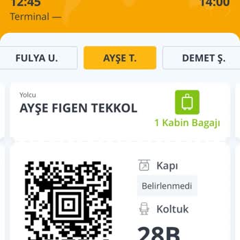 Pegasus Hava Yolları Saygısızlığı