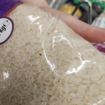 Harras Baldo Pirinçte Böcek