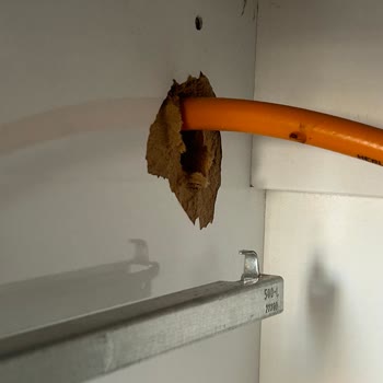 Arçelik Servis Desteğin Sıfır Mutfak Dolaplarına Verdiği Zarar