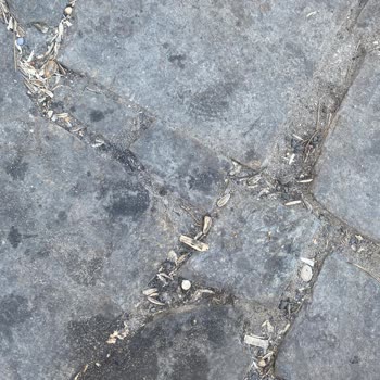 Anet Antalya Anet Topçam Sorunu