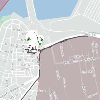 Martı Her Seferinde Pişman Ediyor