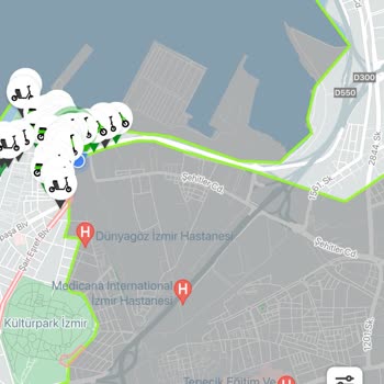 Martı Her Seferinde Pişman Ediyor