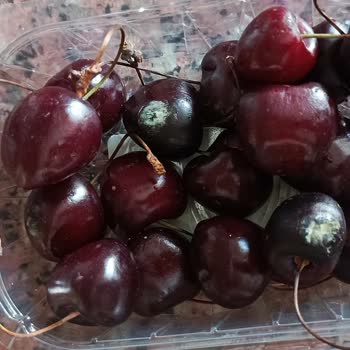 Şok Market Alışverişinde Yaşanan Olumsuz Deneyim